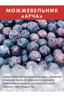 Можжевеловая ягода АРЧА, 50 г