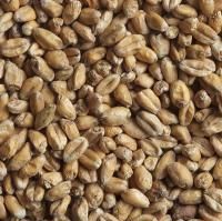 Солод пшеничный Шато Вит Блан 3.5-5.0 ЕВС, Castle Malting (Бельгия)
