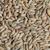 Солод ржаной Шато Рай 3-8 EBC, Castle Malting (Бельгия)