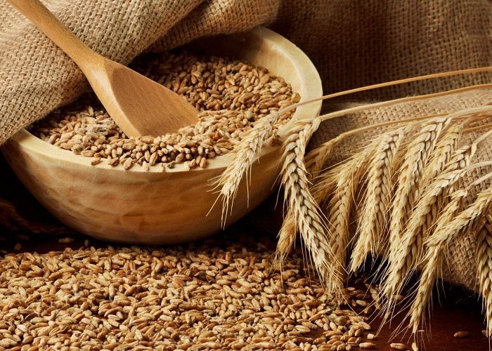 Как приготовить брагу Как приготовить брагу
