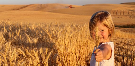 Ячменный и пшеничный солод в Иркутске!