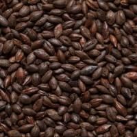 Солод Шато Блэк оф Блэк 800 ЕВС, Castle Malting (Бельгия)