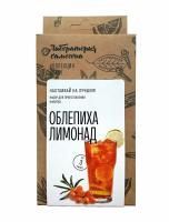Набор для приготовления лимонада Облепиха (Лаборатория самогона)