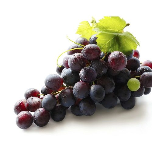 Vinograd.jpg Vinograd.jpg