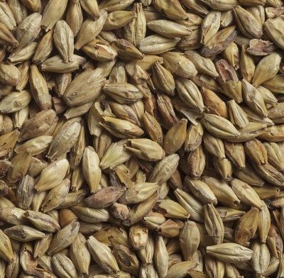 Солод Шато Бисквит 50 ЕВС, Castle Malting (Бельгия)