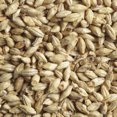 Солод ячменный Пэйл Эль Soufflet 4,5-7 EBC (Суффле, Россия) Солод ячменный Пэйл Эль Soufflet 4,5-7 EBC (Суффле, Россия)