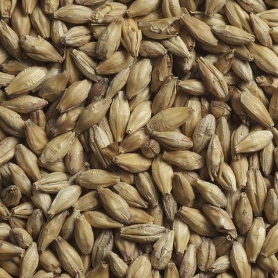 Солод Шато Виски 30-45 PPM, Castle Malting (Бельгия) Солод Шато Виски 30-45 PPM, Castle Malting (Бельгия)