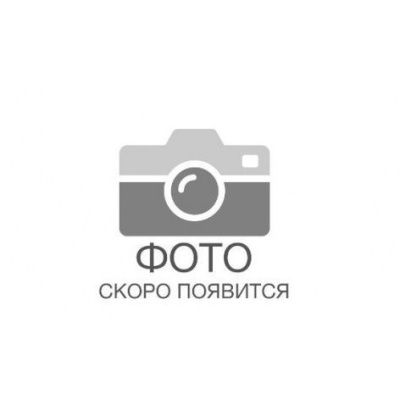 Ароматизатор ETOL «Ежевика» на 10 л