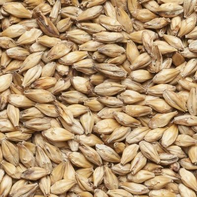 Солод ячменный Венский - Vienna Malt 6-8 EBC (Курский солод)