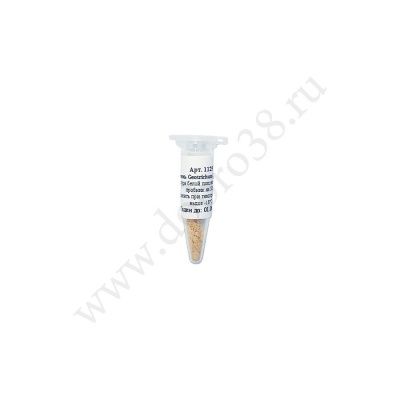 Белая плесень для сыра Penicillium Candidum на 40л молока Белая плесень для сыра Penicillium Candidum на 40л молока