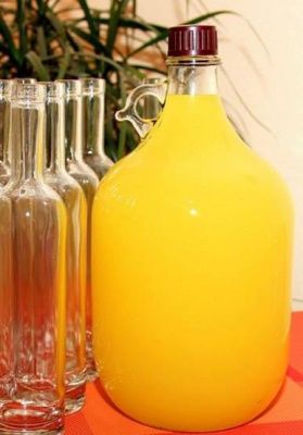 Бутылка Сулия 5л