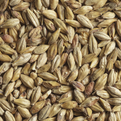 Солод Меланоидиновый BEST Melanoidin Malt 61-80 EBC, BestMalz (Германия) Солод Меланоидиновый BEST Melanoidin Malt 61-80 EBC, BestMalz (Германия)