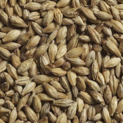 Солод Шато Виски Лайт 15-25 PPM, Castle Malting (Бельгия) Солод Шато Виски Лайт 15-25 PPM, Castle Malting (Бельгия)