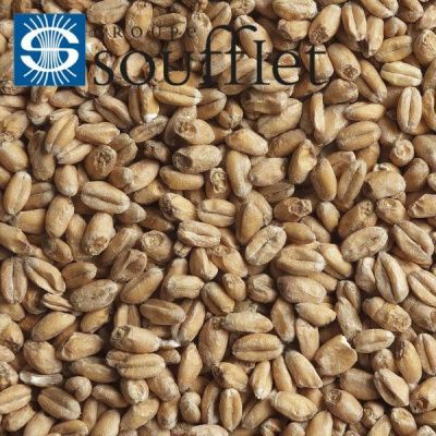 Мешок солод Пшеничный Светлый Soufflet 2-5 EBC (Суффле, Россия), 40кг Мешок солод Пшеничный Светлый Soufflet 2-5 EBC (Суффле, Россия), 40кг