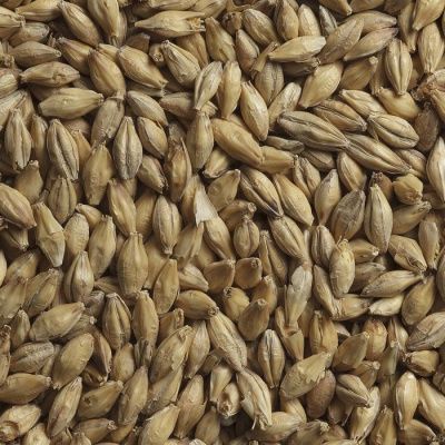 Солод Копченый BEST Smoked Malt 3-8 EBC, BestMalz (Германия) Солод Копченый BEST Smoked Malt 3-8 EBC, BestMalz (Германия)