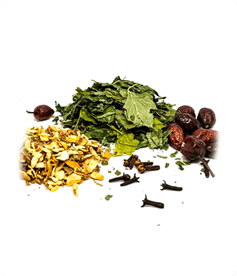 Смородина Алтайская (Дед Алтай) Смородина Алтайская (Дед Алтай)