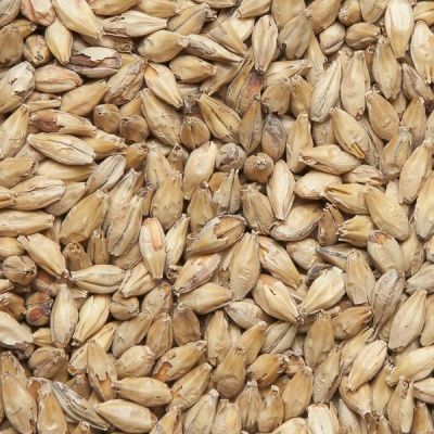 Солод ячменный Пэйл Эль - Pale Ale Malt 4-6 EBC (Курский солод) Солод ячменный Пэйл Эль - Pale Ale Malt 4-6 EBC (Курский солод)