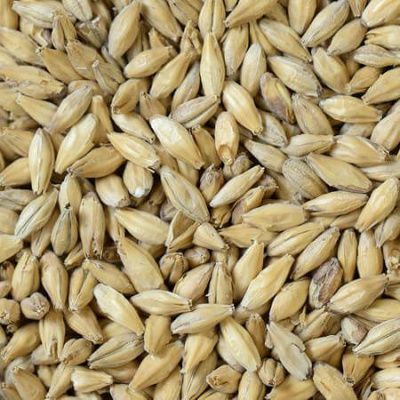 Солод Шато Питед (копченый) 5-10 PPM, Castle Malting (Бельгия) Солод Шато Питед (копченый) 5-10 PPM, Castle Malting (Бельгия)