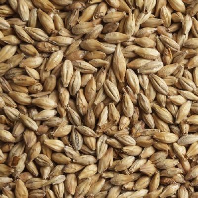 Солод Шато Пильсен 2RS 3.0-3.5 EBC, Castle Malting (Бельгия) Солод Шато Пильсен 2RS 3.0-3.5 EBC, Castle Malting (Бельгия)