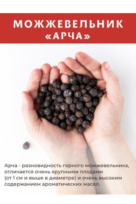 Можжевеловая ягода АРЧА, 50 г Можжевеловая ягода АРЧА, 50 г