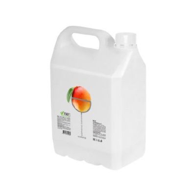 Сироп с соком 5075 «Манго», канистра 5 л
