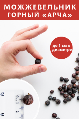 Можжевеловая ягода АРЧА, 50 г Можжевеловая ягода АРЧА, 50 г