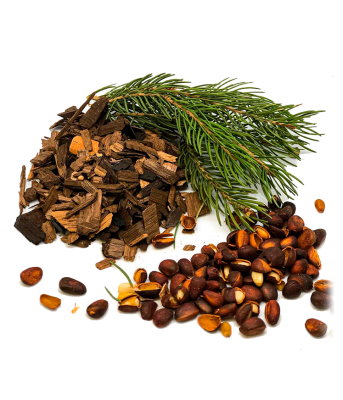 Тайга (Дед Алтай) Тайга (Дед Алтай)