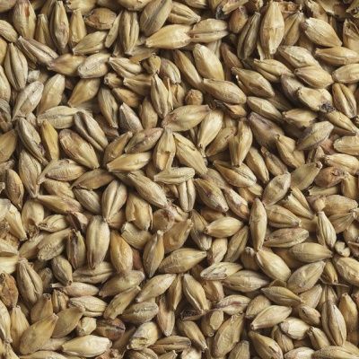 Солод ячменный темный Мюнхенский 15 Soufflet 12-20 EBC (Суффле, Россия) Солод ячменный темный Мюнхенский 15 Soufflet 12-20 EBC (Суффле, Россия)