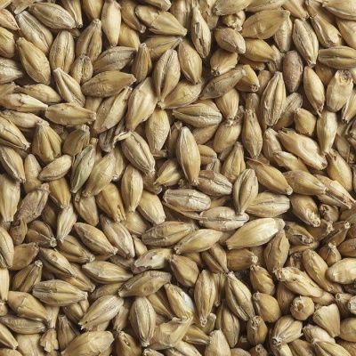Солод Венский BEST Vienna Malt 7-10 EBC, BestMalz (Германия) Солод Венский BEST Vienna Malt 7-10 EBC, BestMalz (Германия)