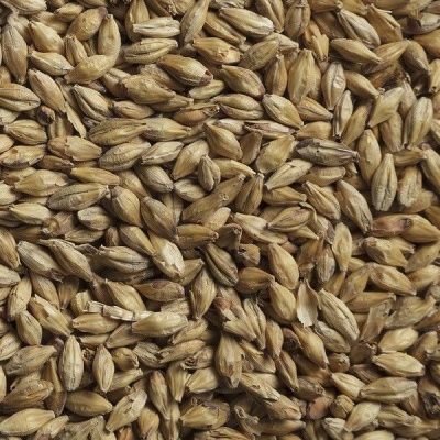 Солод Шато Мюних Лайт 15 ЕВС, Castle Malting (Бельгия)